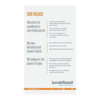 Our Values Printed Posters 24 x 30
